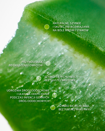 swederm Comfort Roll-on ulga dla mięśni i stawów