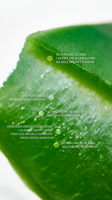 swederm Comfort Roll-on ulga dla mięśni i stawów